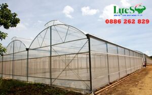 Ứng Dụng Của Lưới Chắn Côn Trùng 32 Mesh